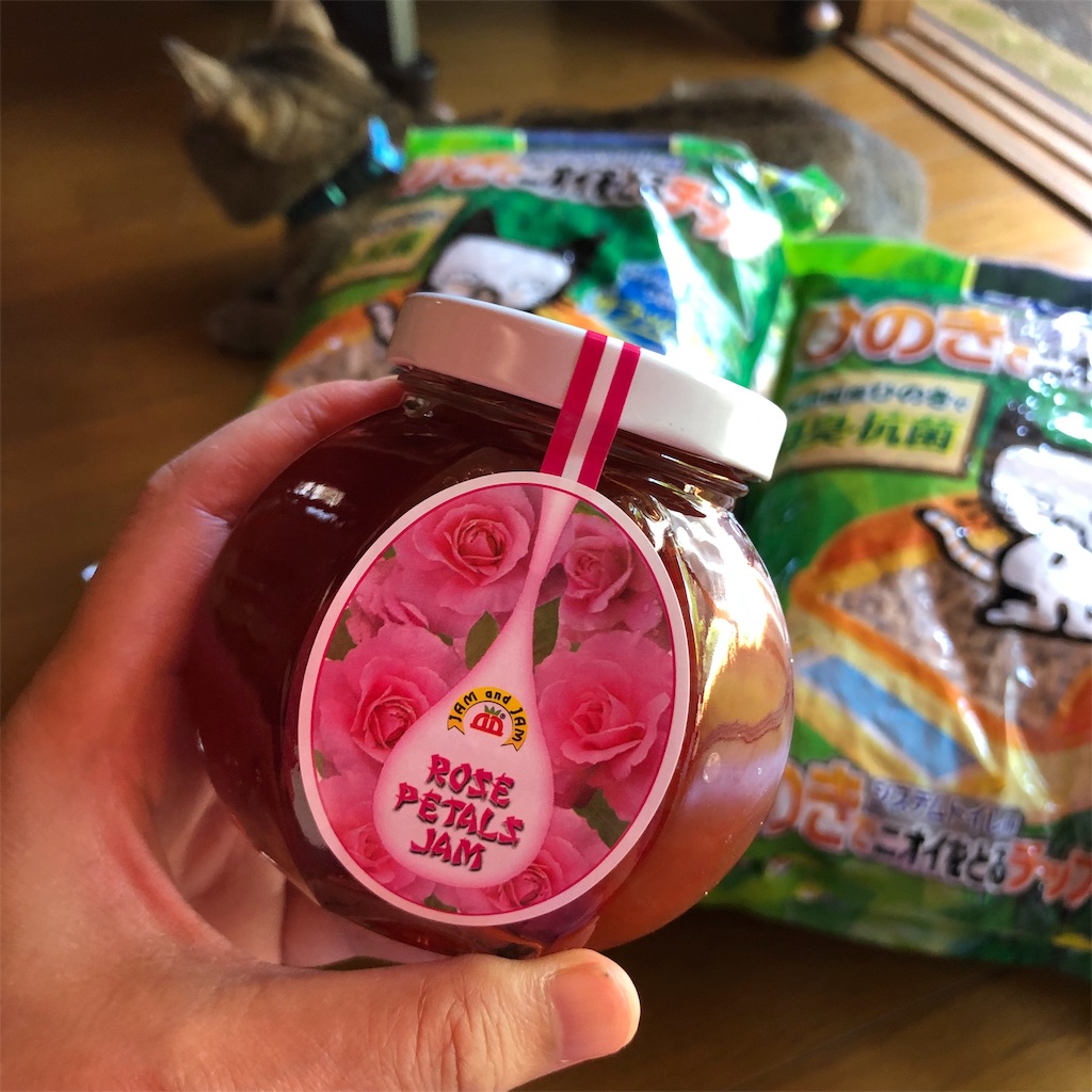 f:id:annesea:20191001224921j:image f:id:annesea:20191001224921j:image