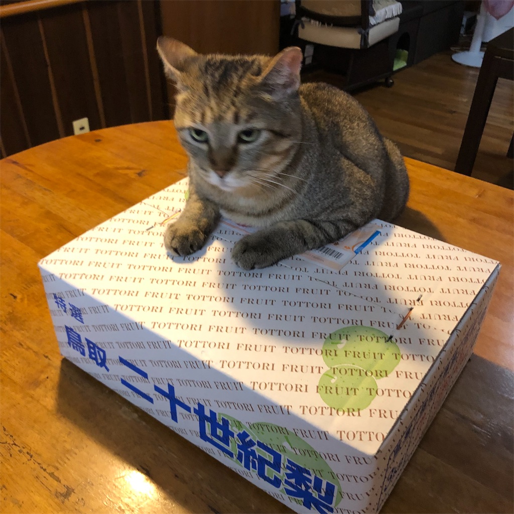 f:id:annesea:20191001225329j:image f:id:annesea:20191001225329j:image