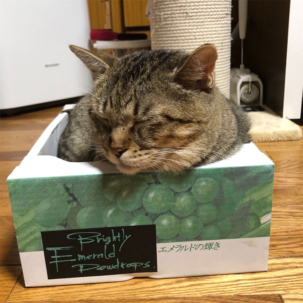 f:id:annesea:20191001225352j:image f:id:annesea:20191001225352j:image