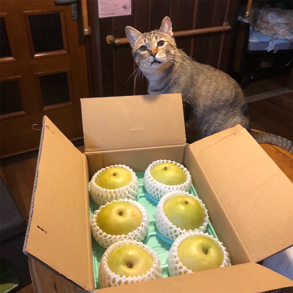 f:id:annesea:20191001225358j:image f:id:annesea:20191001225358j:image