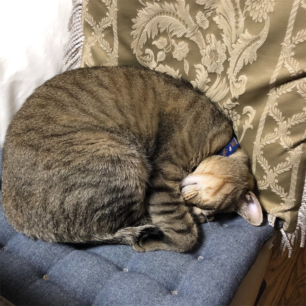 f:id:annesea:20191112235537j:image