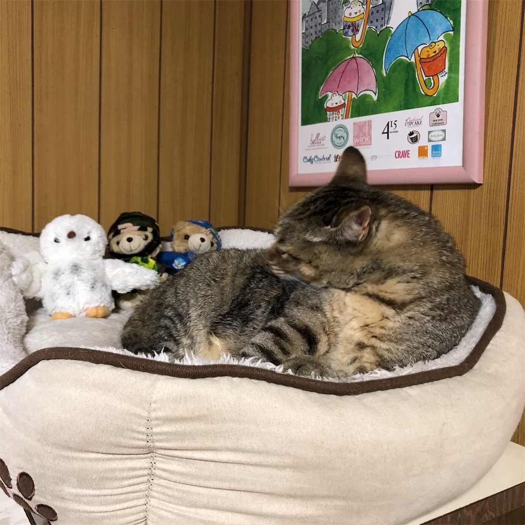 f:id:annesea:20191118205300j:image