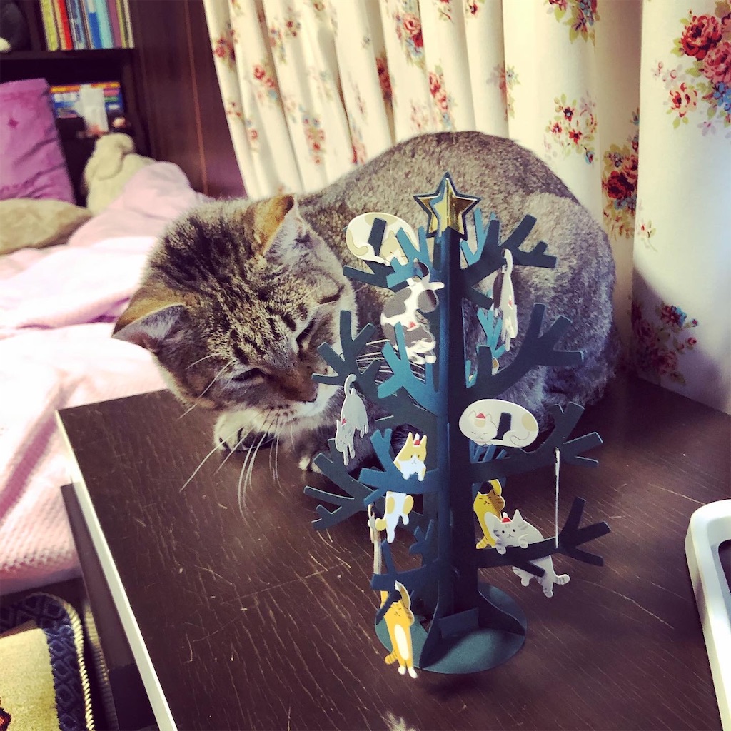 f:id:annesea:20191120212420j:image