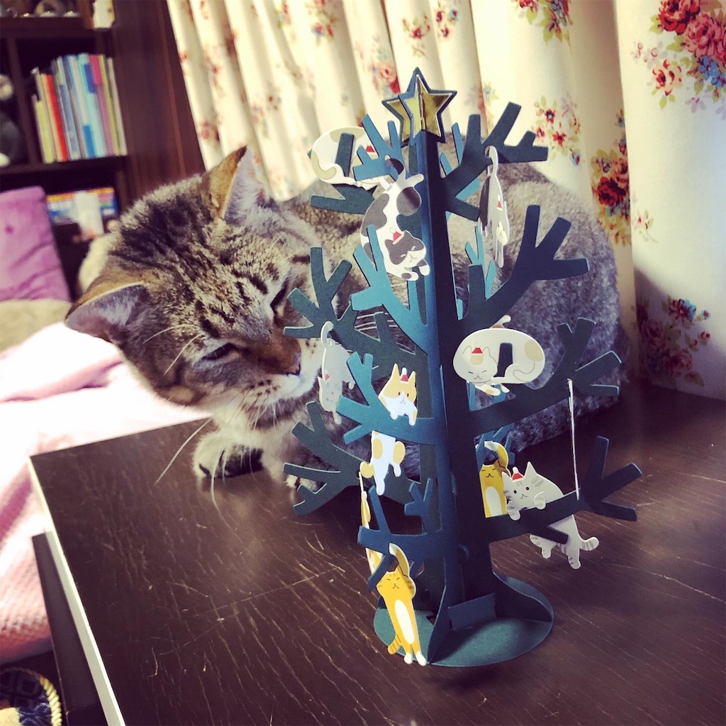f:id:annesea:20191120212429j:image