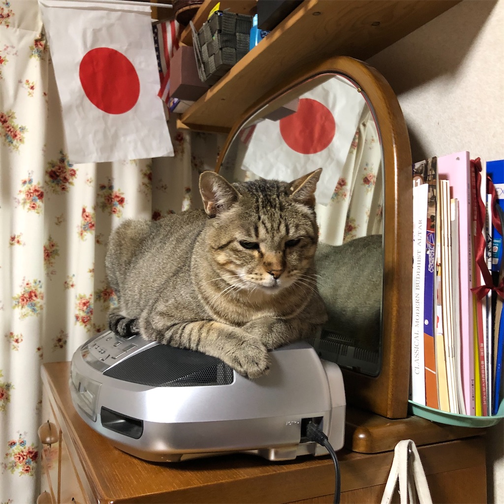 f:id:annesea:20191210232514j:image
