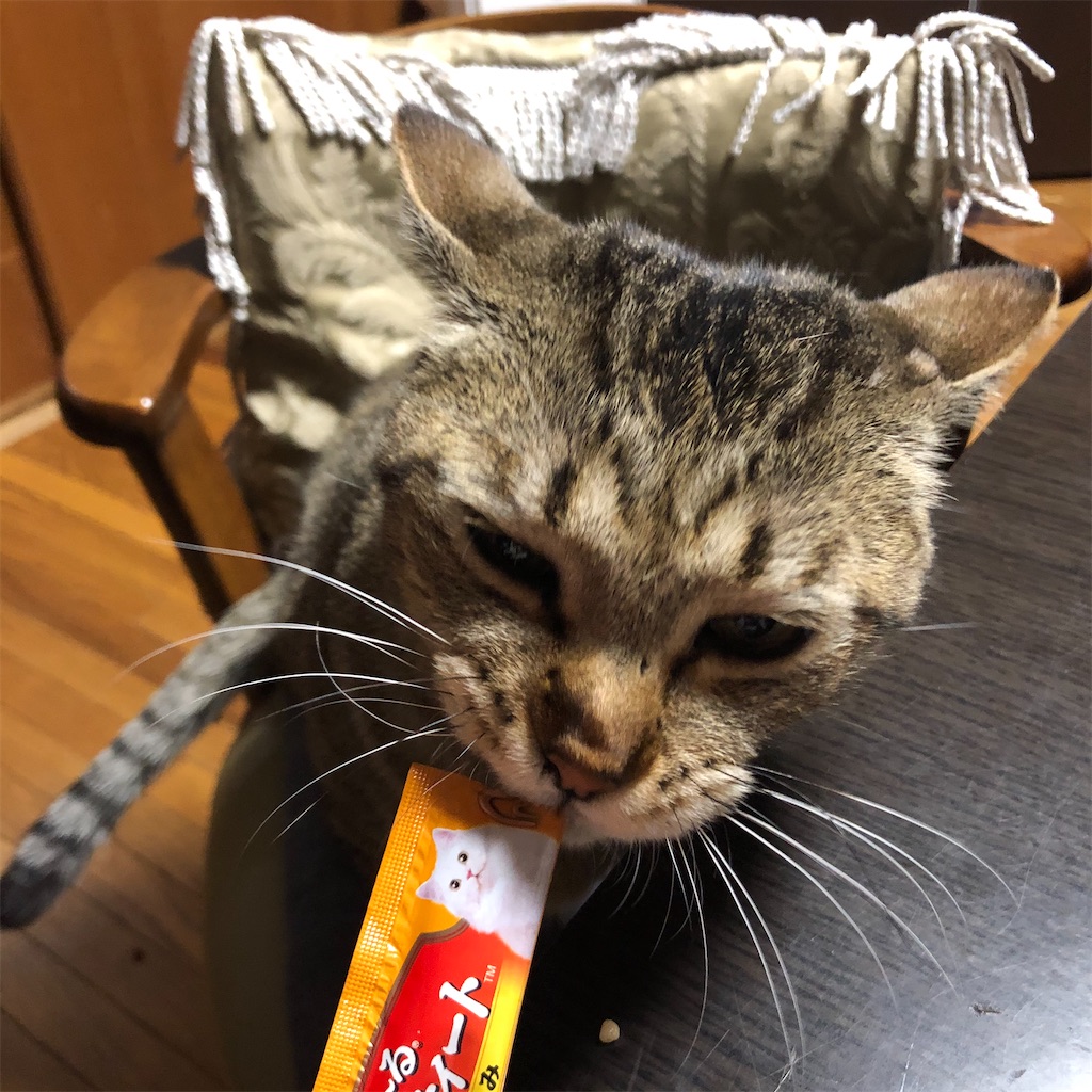 f:id:annesea:20191210232523j:image