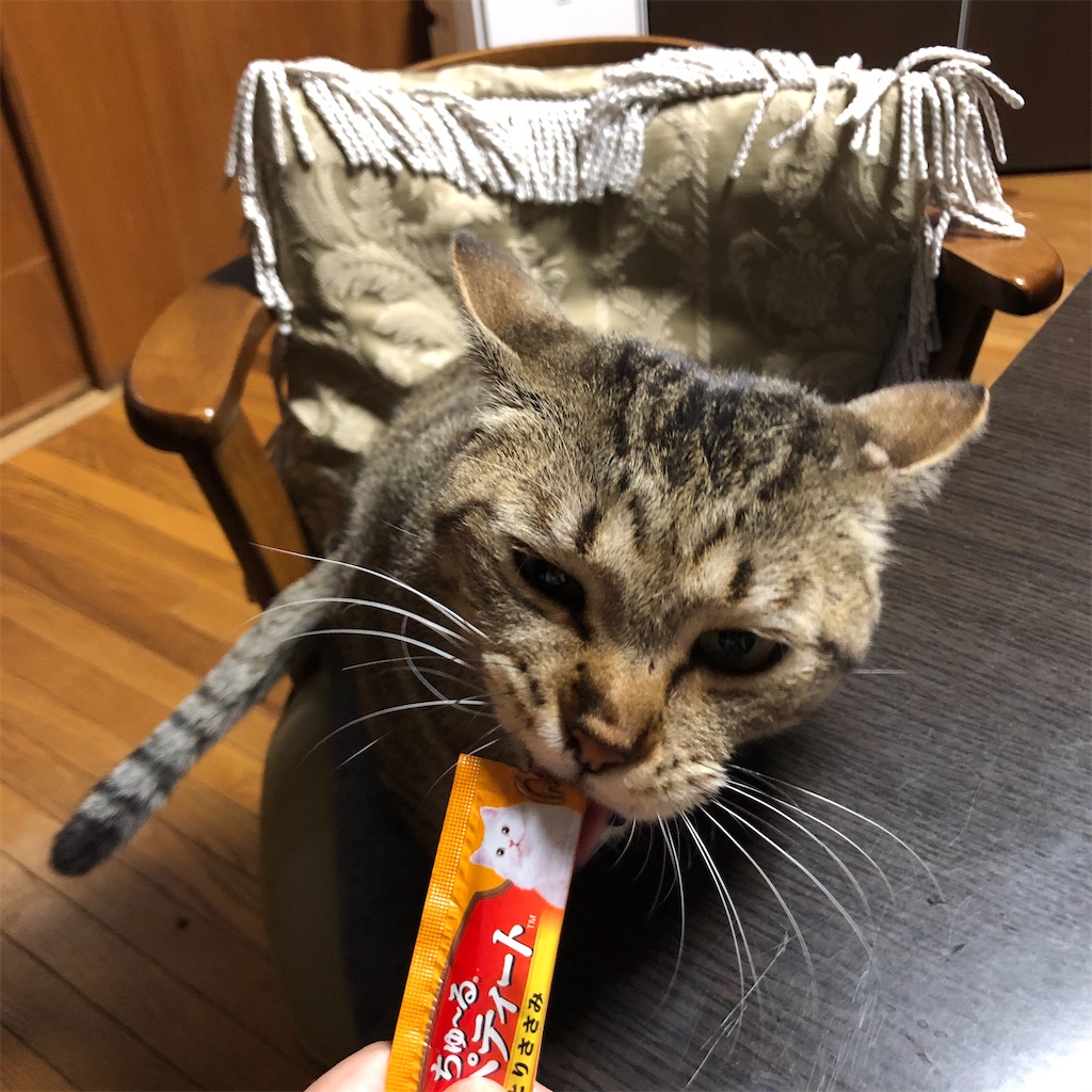 f:id:annesea:20191210232530j:image