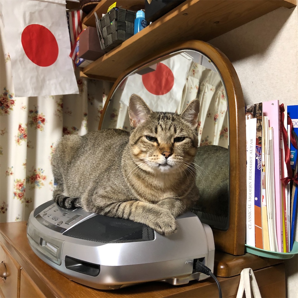 f:id:annesea:20191210232538j:image