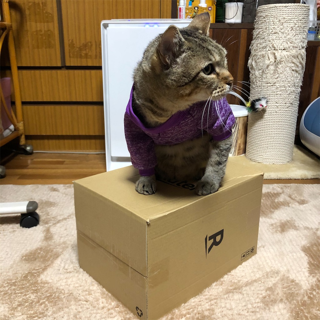 f:id:annesea:20191217225659j:image f:id:annesea:20191217225659j:image