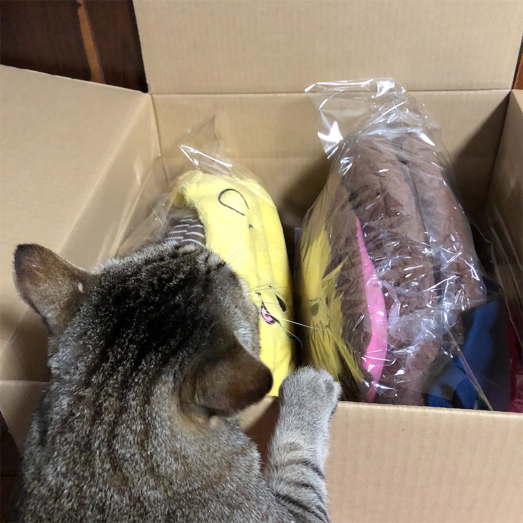 f:id:annesea:20191218201927j:image