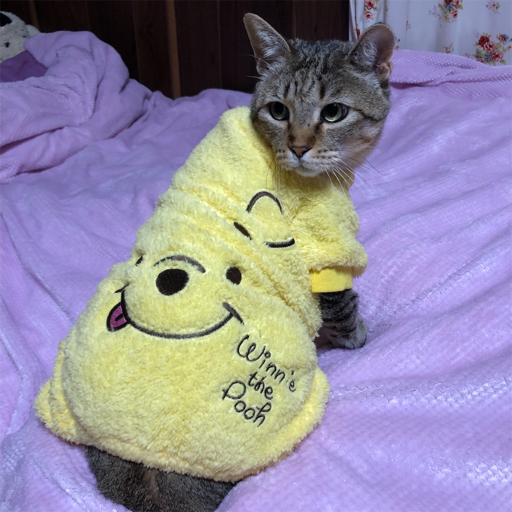 f:id:annesea:20191218201935j:image