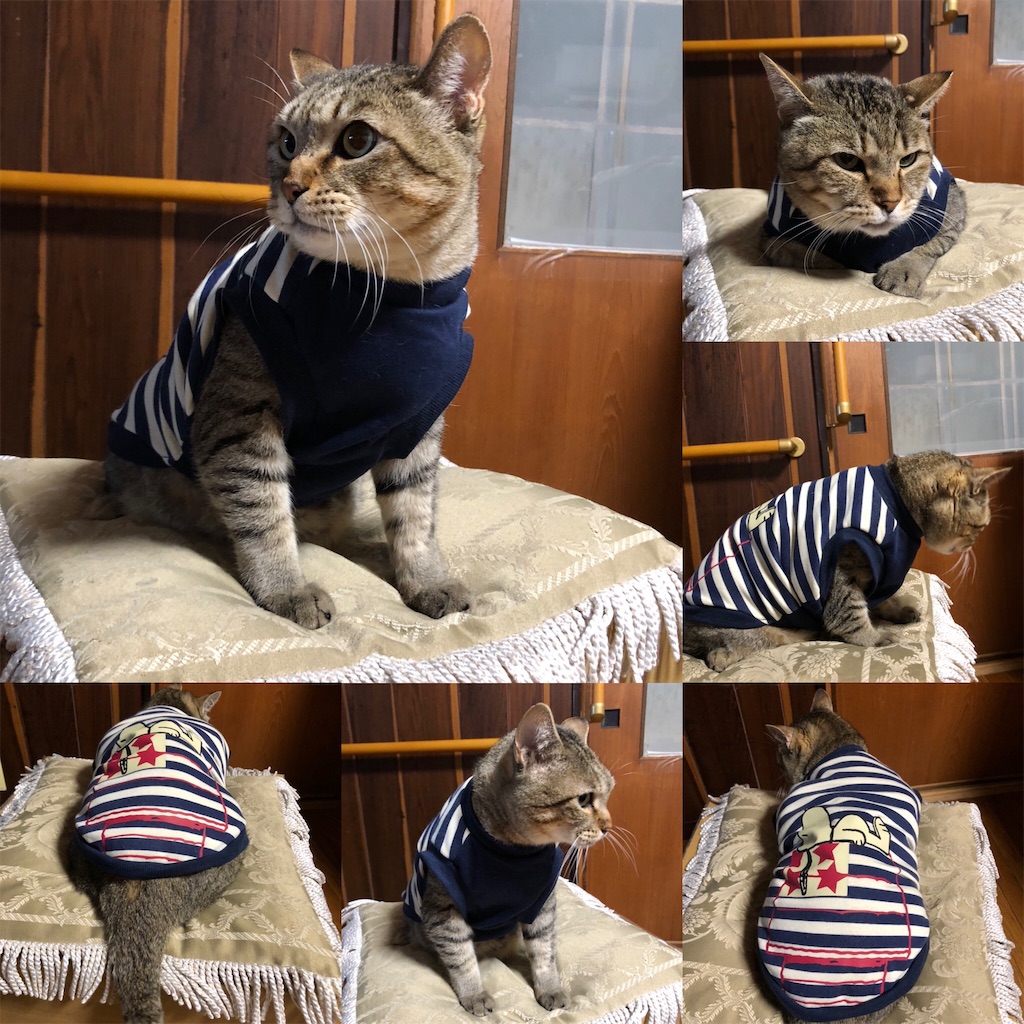 f:id:annesea:20191218201955j:image