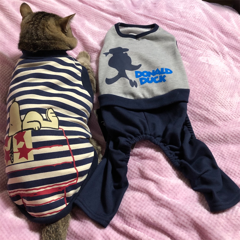 f:id:annesea:20191218202019j:image