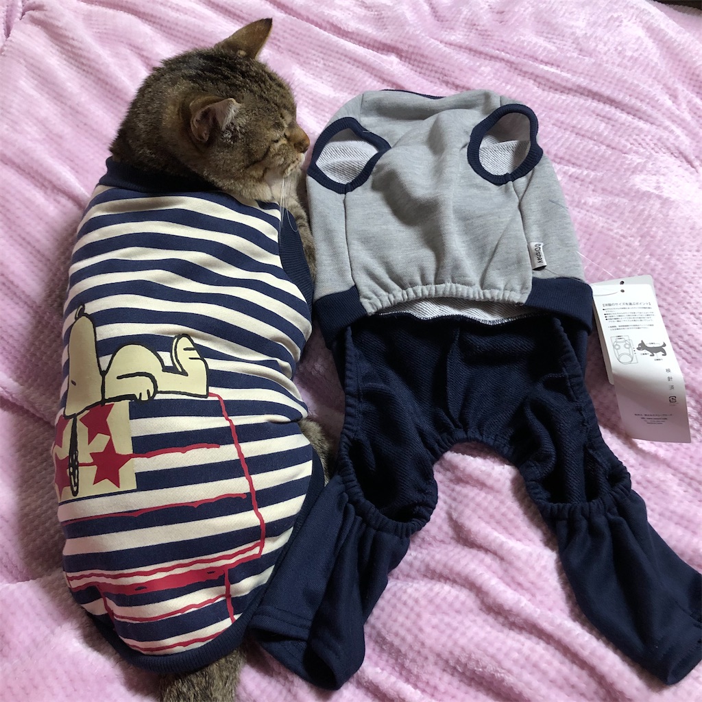 f:id:annesea:20191218202028j:image