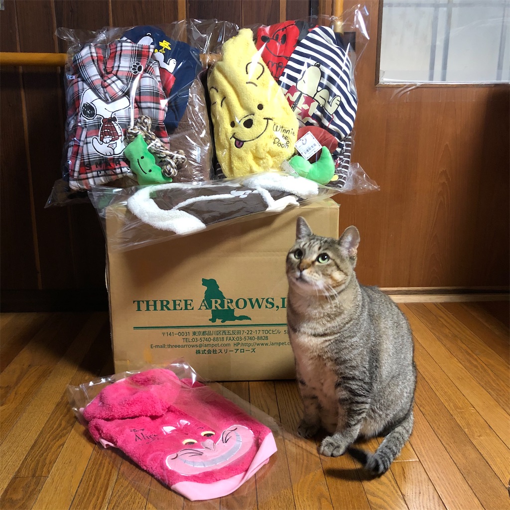 f:id:annesea:20191218202038j:image
