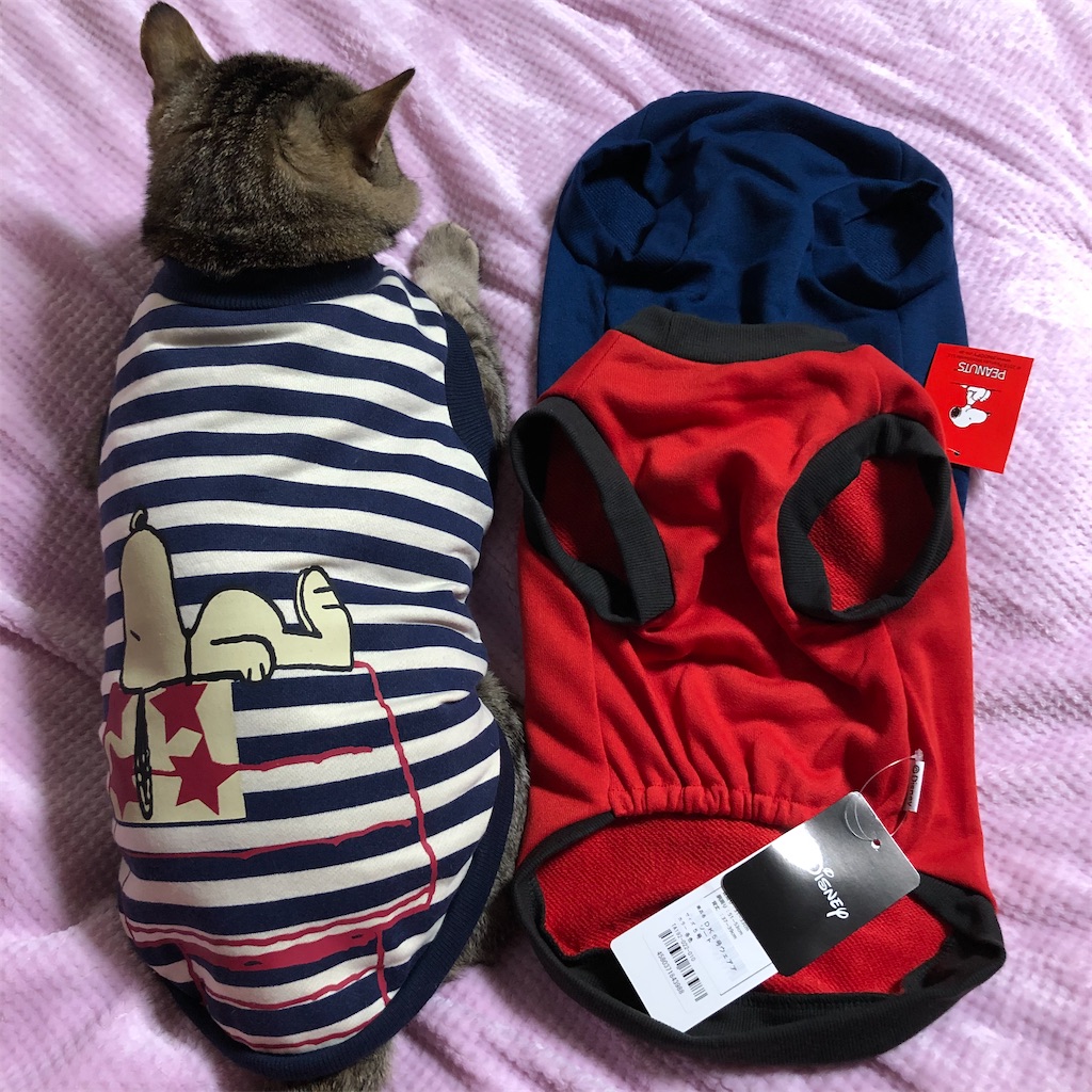 f:id:annesea:20191218202111j:image