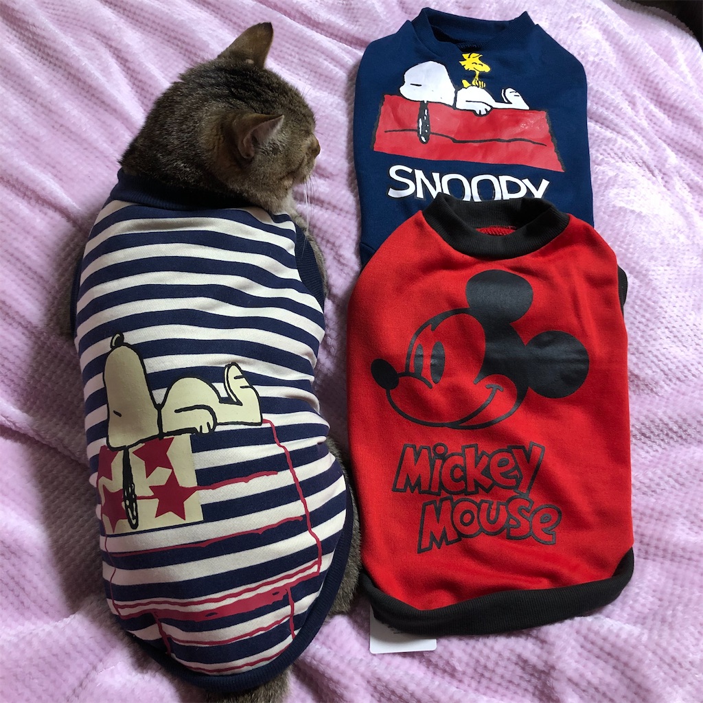 f:id:annesea:20191218202140j:image