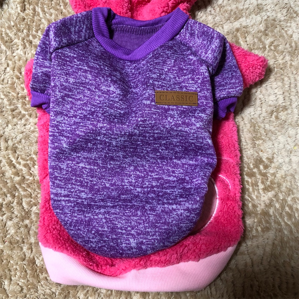 f:id:annesea:20191218203314j:image