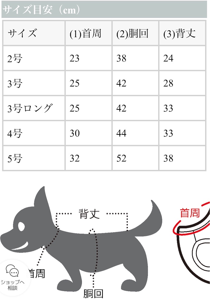 f:id:annesea:20191219202322j:image