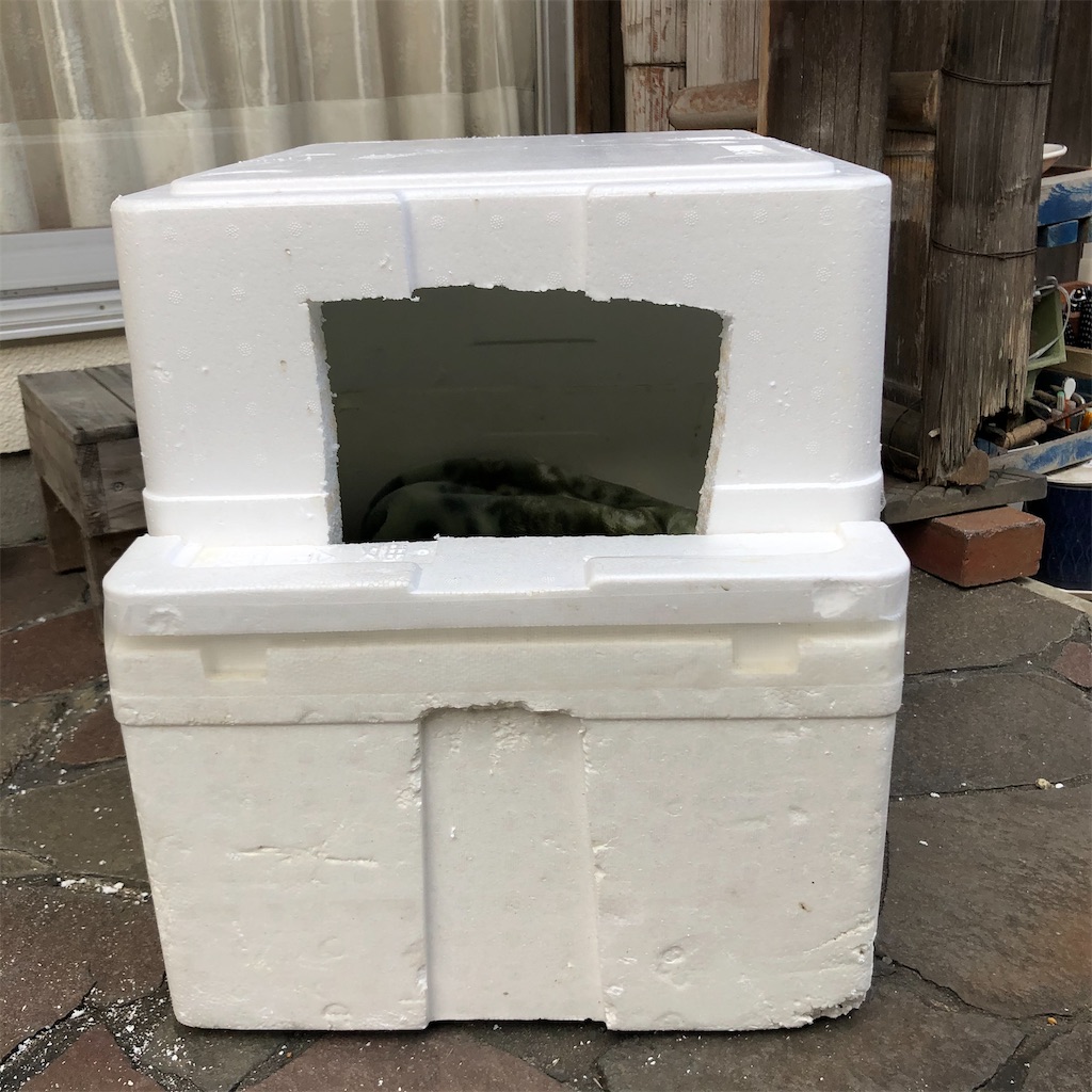f:id:annesea:20191221174859j:image f:id:annesea:20191221174859j:image