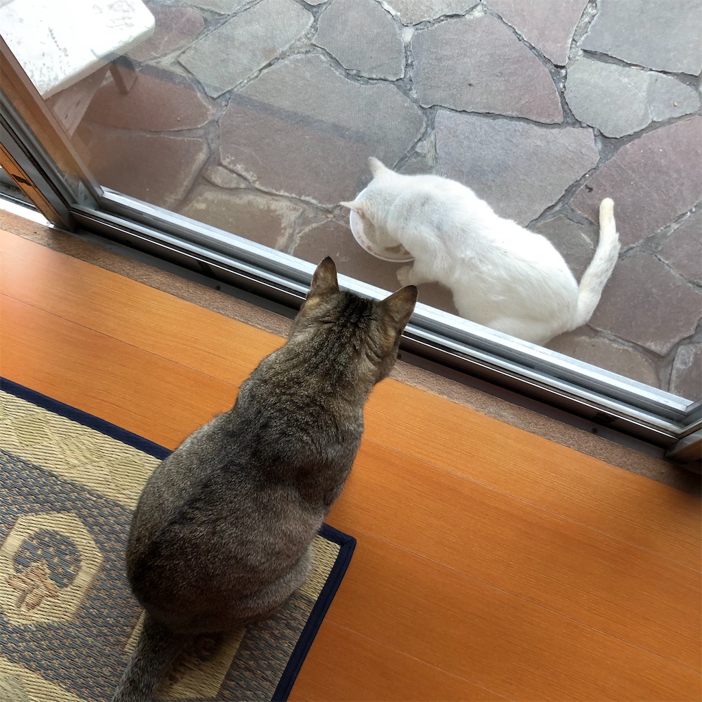 f:id:annesea:20191221174907j:image f:id:annesea:20191221174907j:image