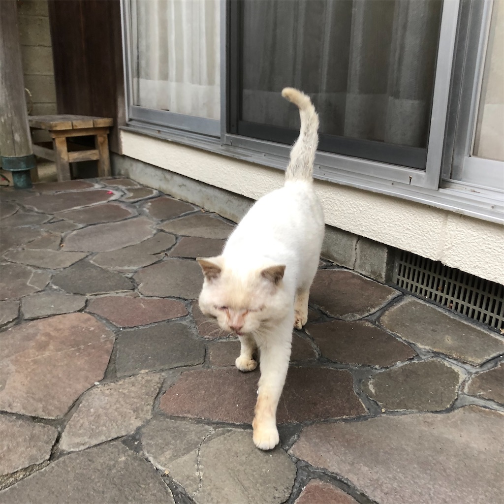 f:id:annesea:20191221174933j:image f:id:annesea:20191221174933j:image