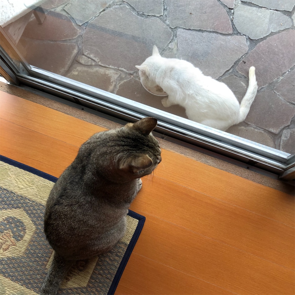 f:id:annesea:20191221175005j:image f:id:annesea:20191221175005j:image