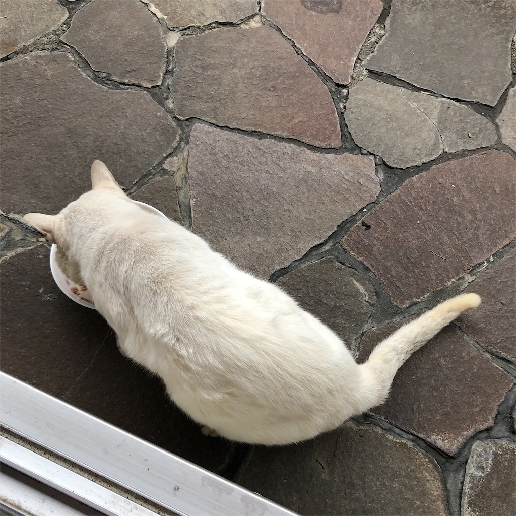f:id:annesea:20191221175014j:image f:id:annesea:20191221175014j:image
