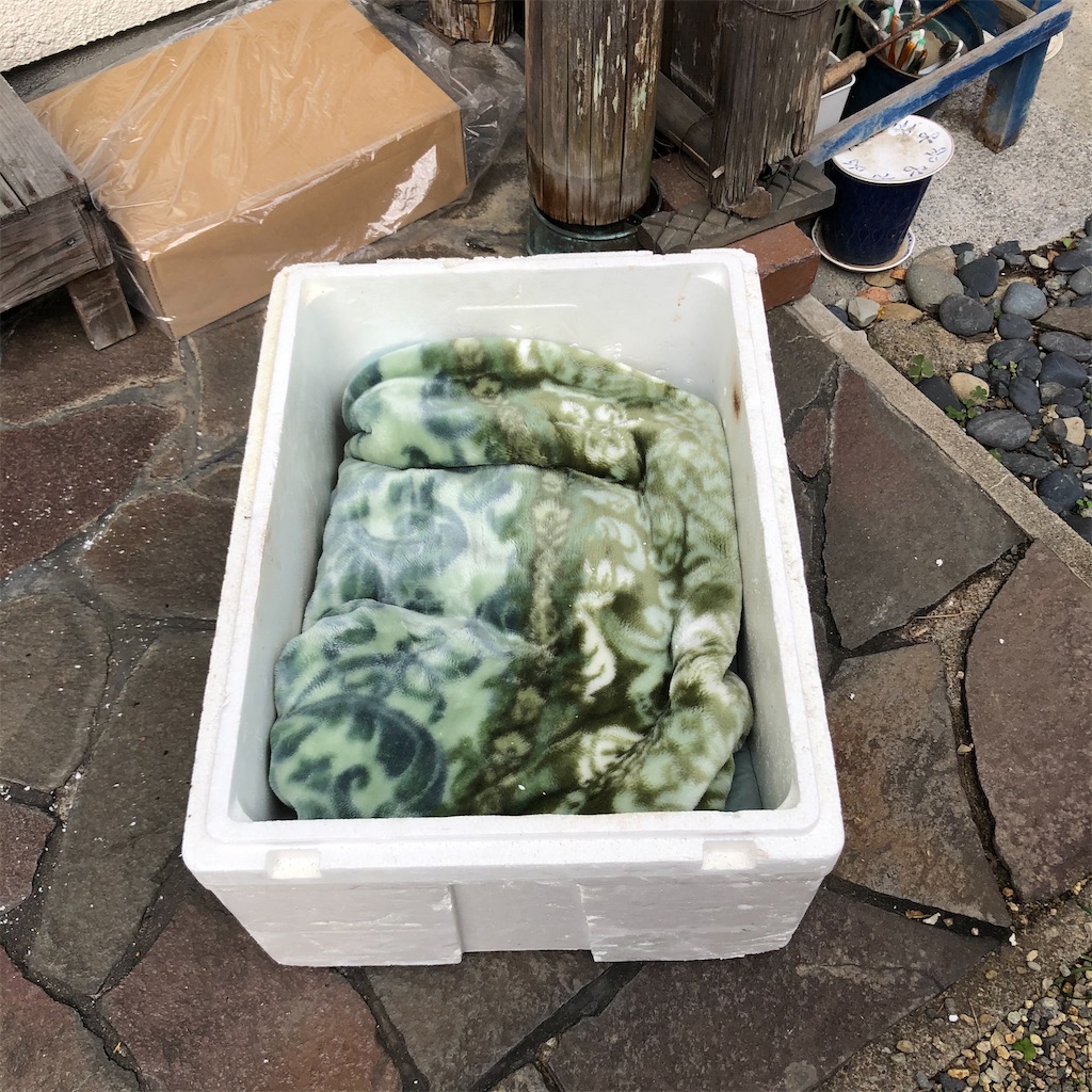 f:id:annesea:20191221175040j:image f:id:annesea:20191221175040j:image