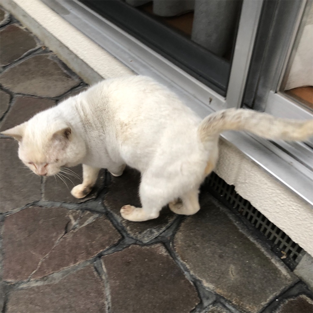 f:id:annesea:20191221175124j:image f:id:annesea:20191221175124j:image