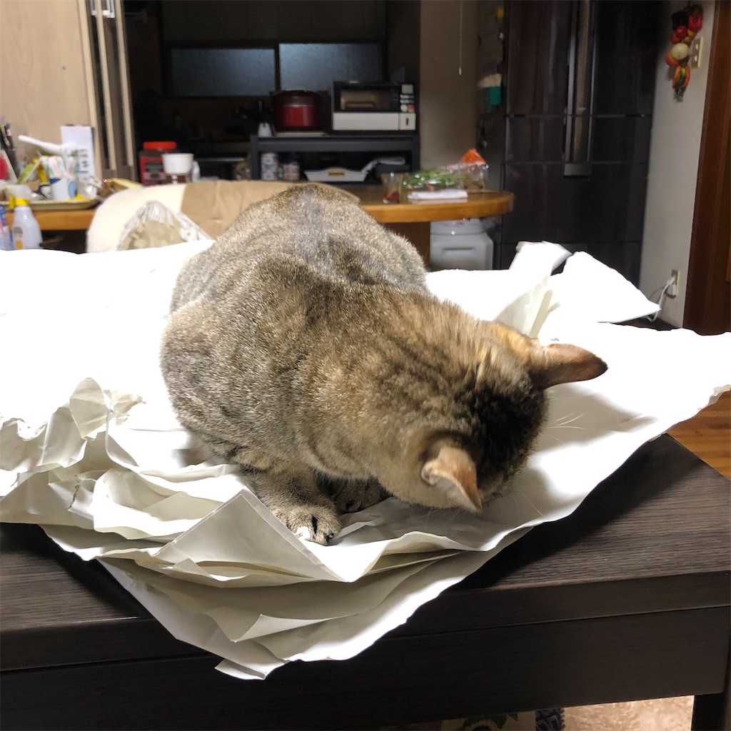 f:id:annesea:20191222175500j:image