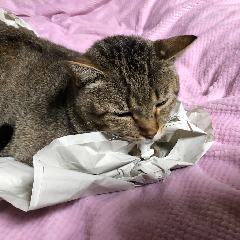 f:id:annesea:20191222175508j:image