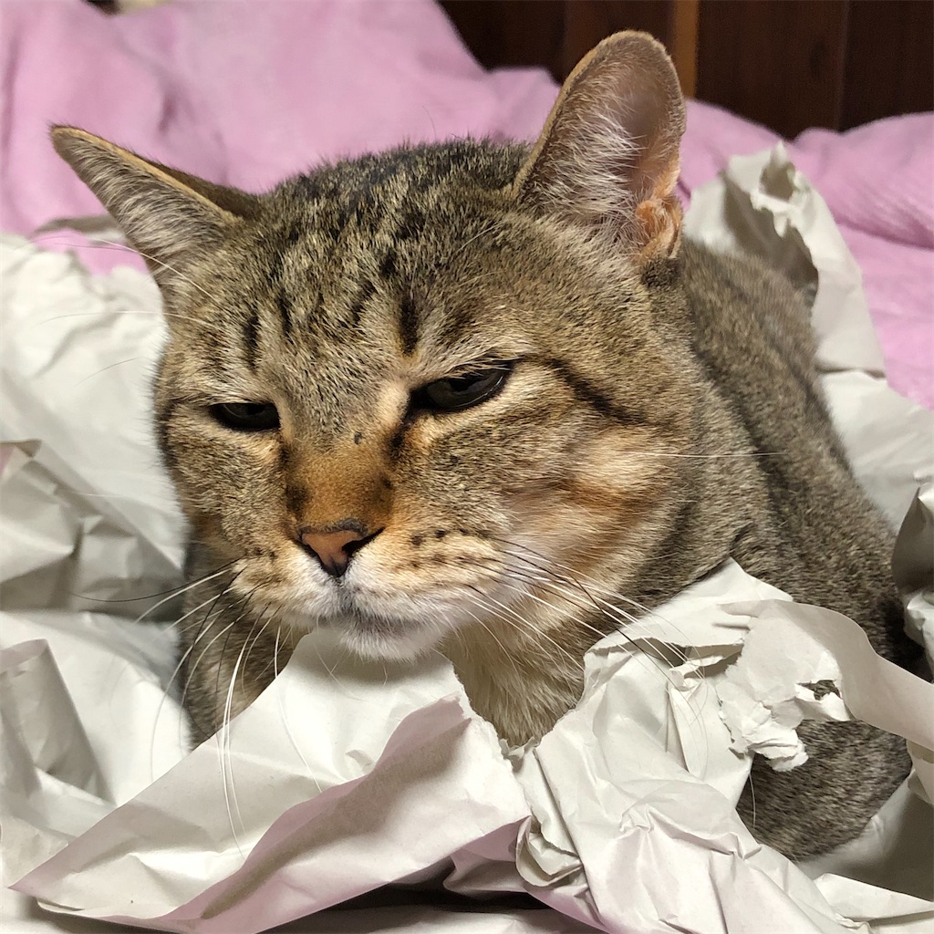 f:id:annesea:20191222175515j:image