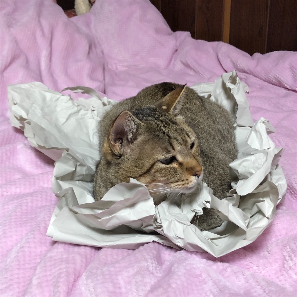 f:id:annesea:20191222175522j:image