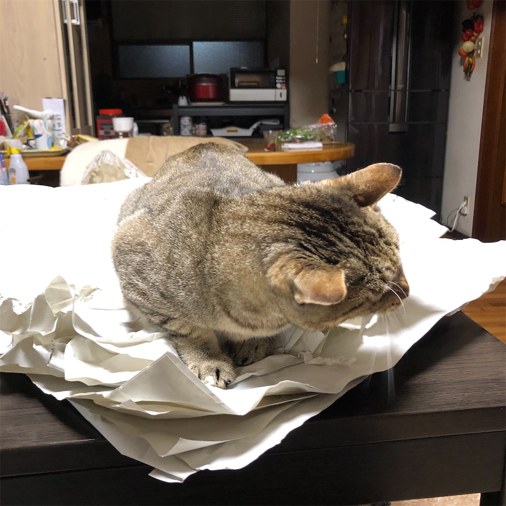 f:id:annesea:20191222175528j:image