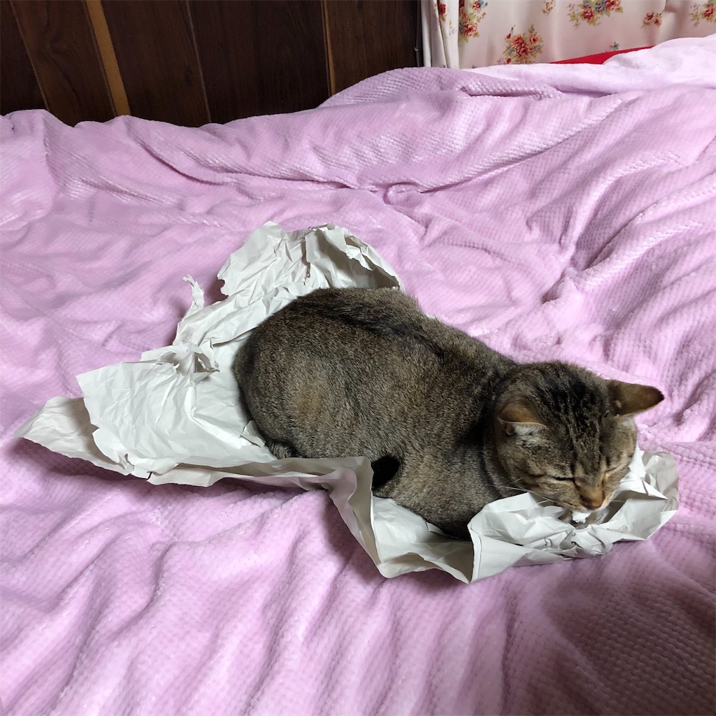 f:id:annesea:20191222175536j:image