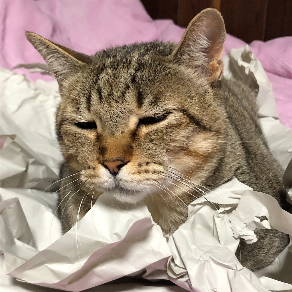 f:id:annesea:20191222175543j:image