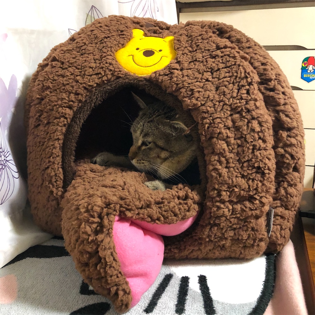 f:id:annesea:20191224225631j:image