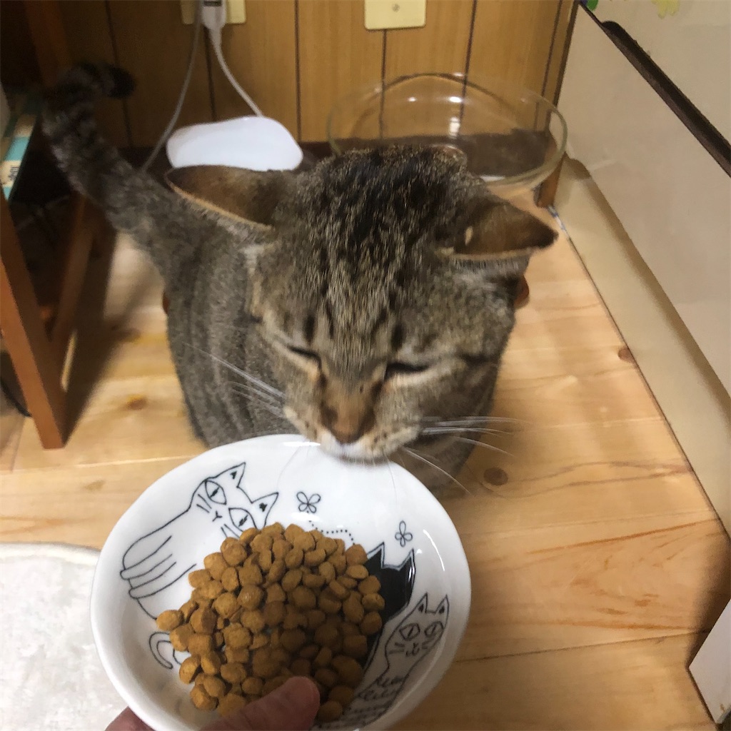 f:id:annesea:20191224225650j:image
