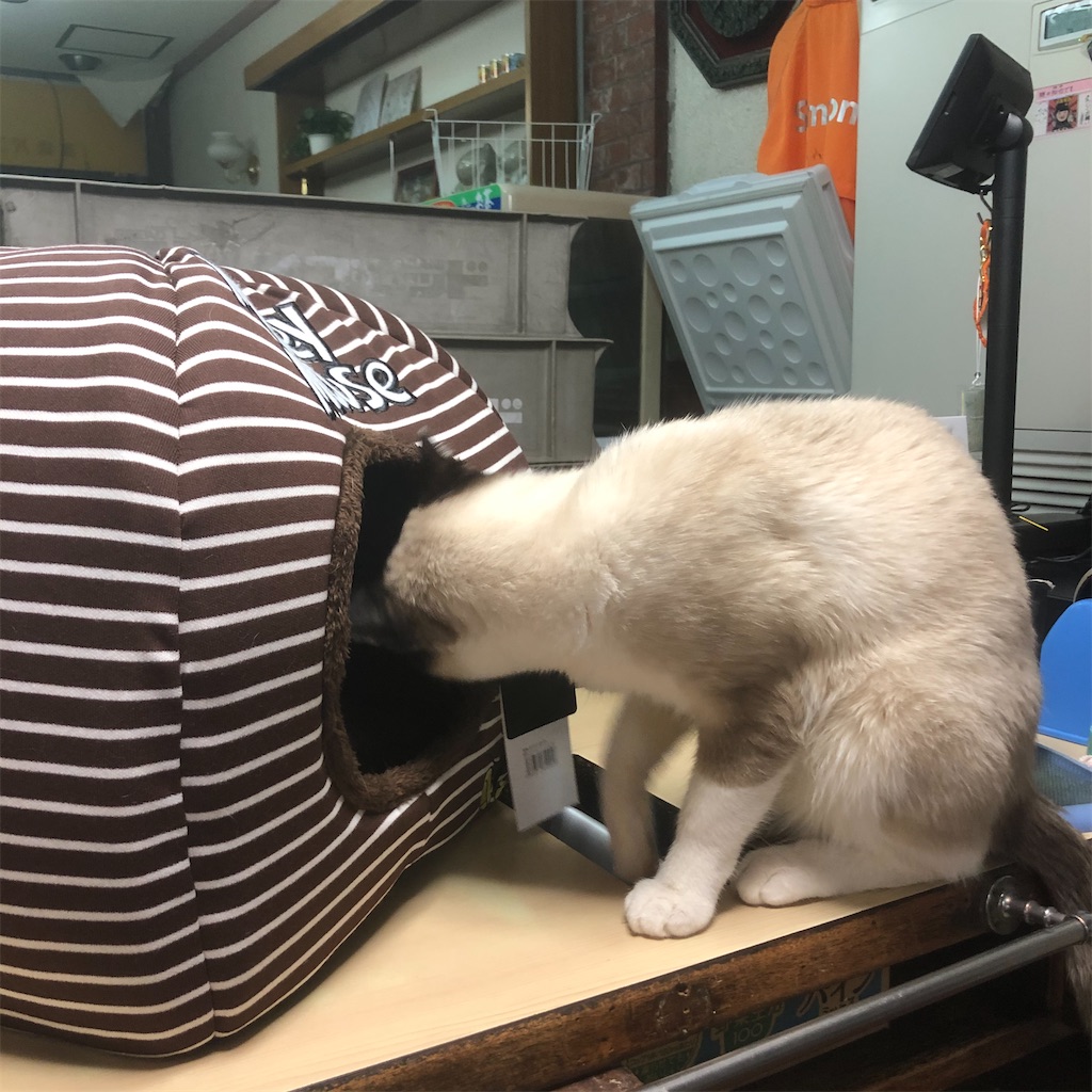 f:id:annesea:20191224225716j:image