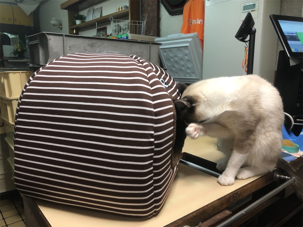 f:id:annesea:20191224225730j:image