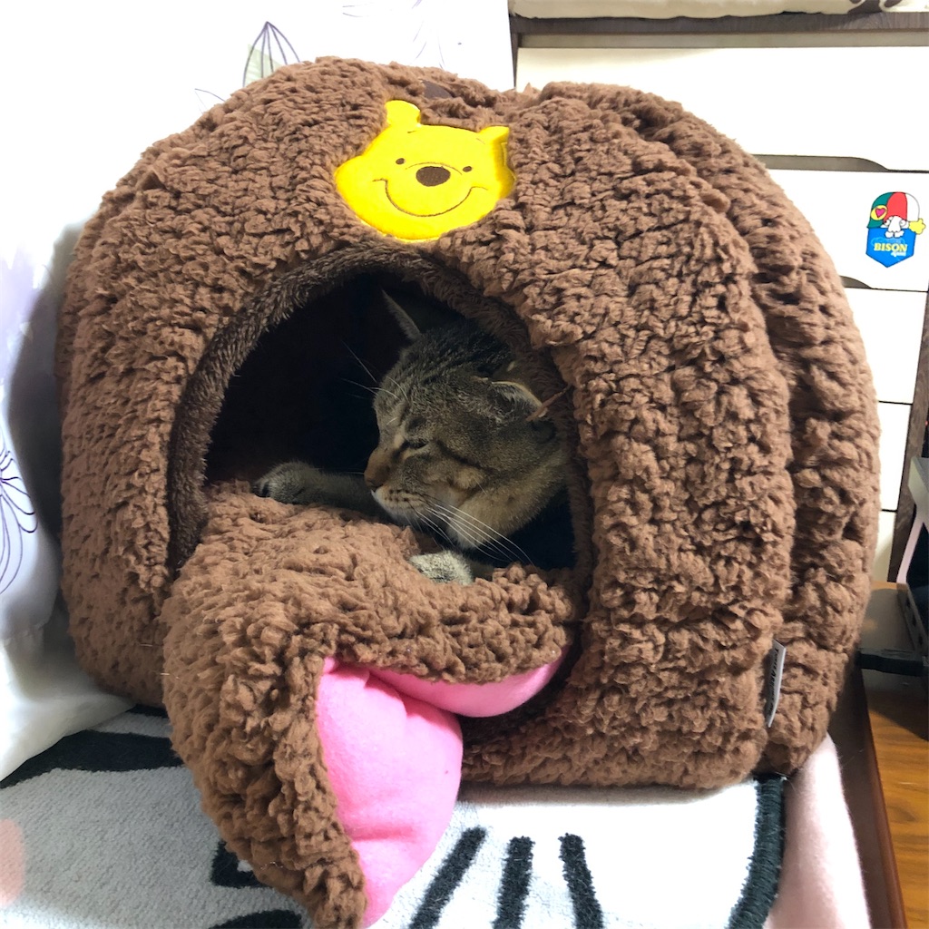 f:id:annesea:20191224225743j:image