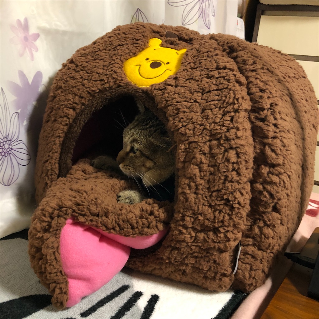 f:id:annesea:20191224225759j:image