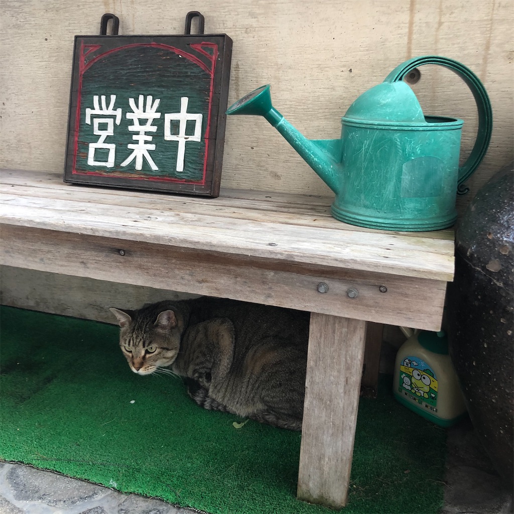 f:id:annesea:20200331215914j:image