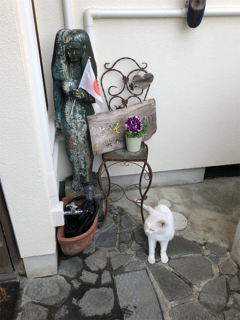 f:id:annesea:20200505152224j:image