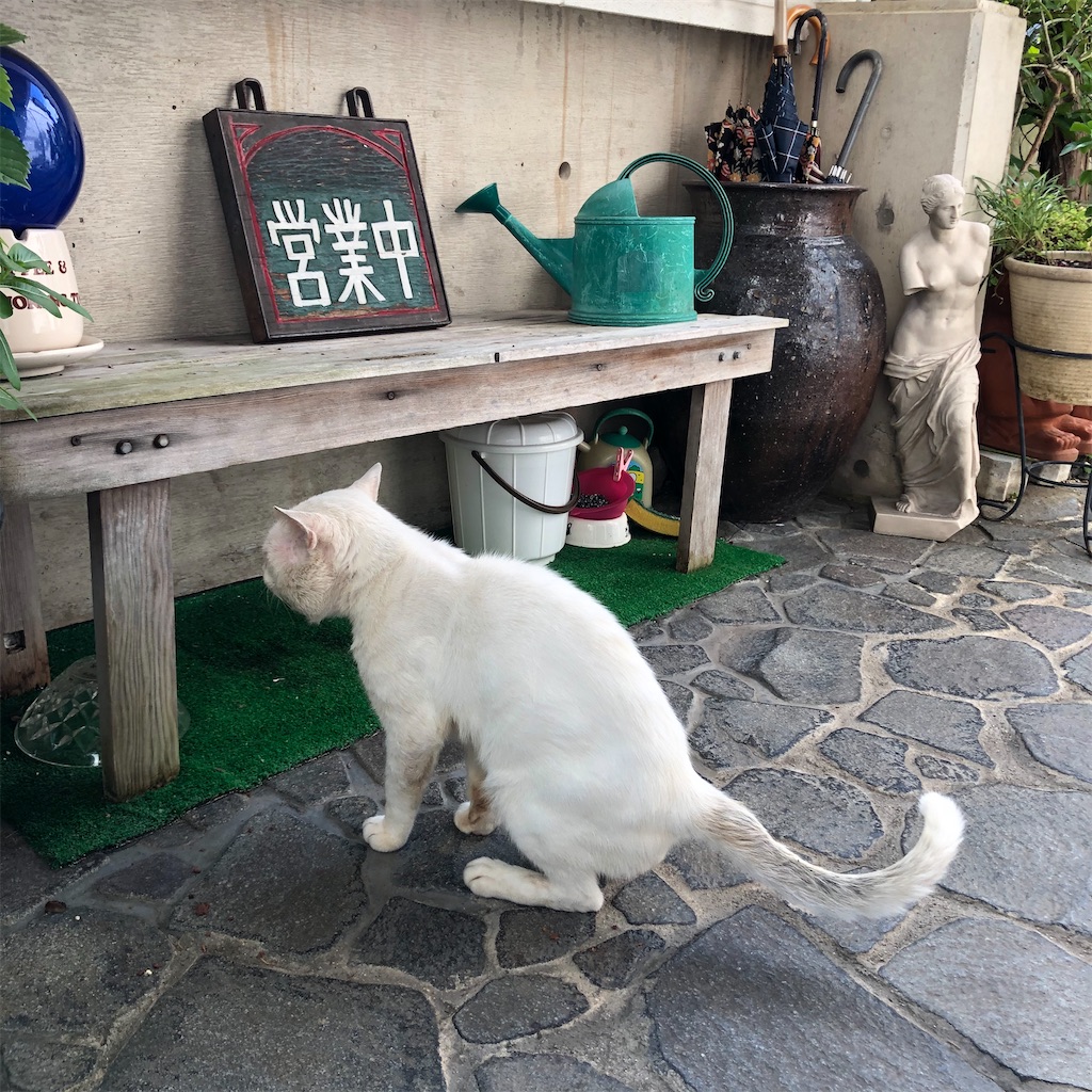 f:id:annesea:20200924162528j:image