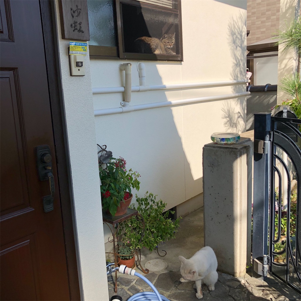 f:id:annesea:20200924162542j:image
