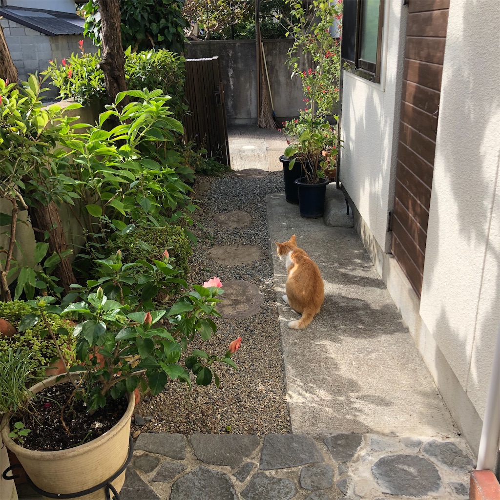 f:id:annesea:20200924162612j:image