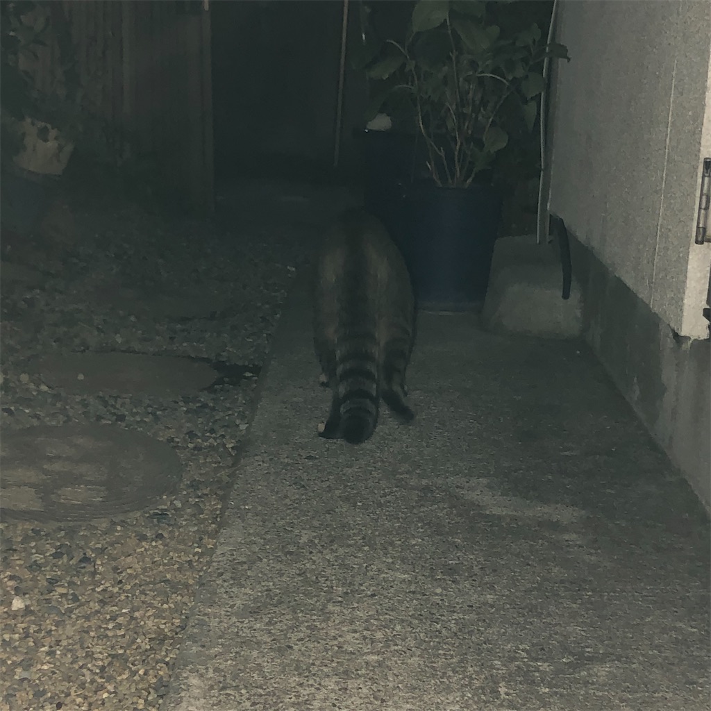 f:id:annesea:20200930152230j:image