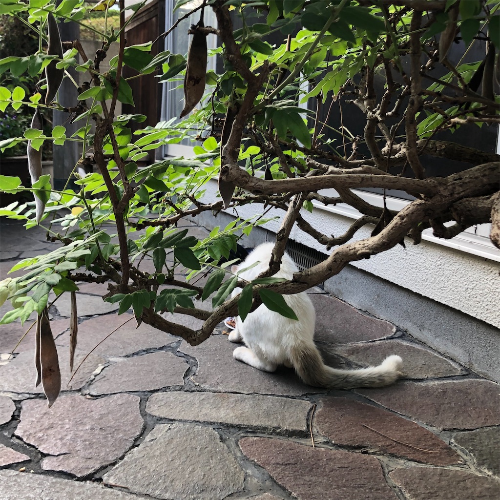f:id:annesea:20201004213837j:image